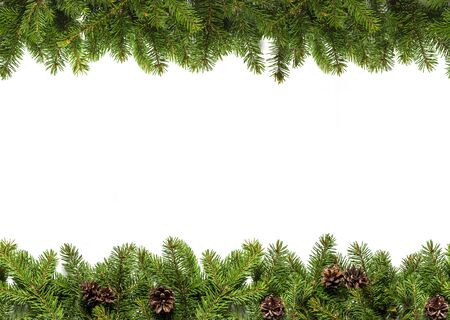 Christmas tree branches on white background as a border or template for christmas cardの写真素材