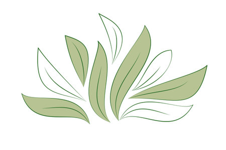 Green and white leaves isolated on whiteのイラスト素材