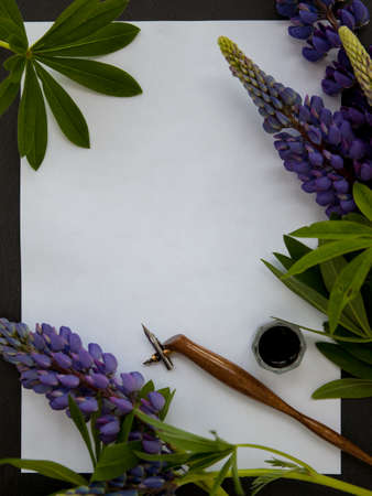 Letter and penの写真素材