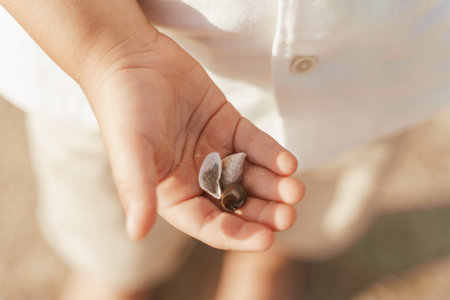 A child rediscovers a shell in his palm. Travel, games, joyの写真素材