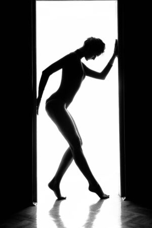 Outlines of a beautiful young woman standing by a doorの写真素材