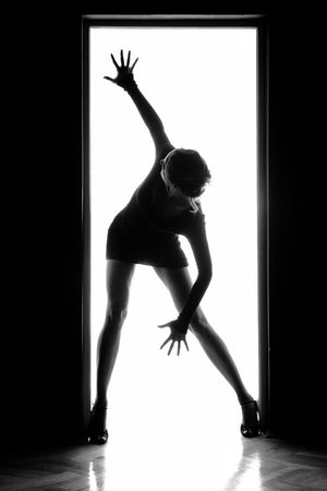 Outlines of a beautiful young woman standing by a door
の写真素材