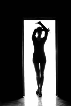 Outlines of a beautiful young woman standing by a door
の写真素材