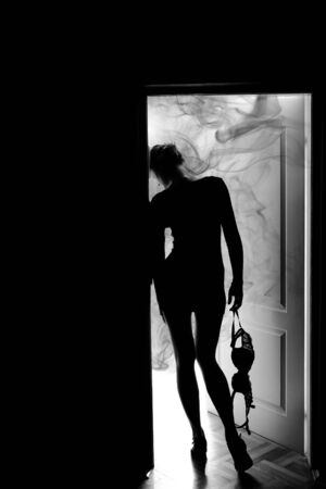 Outlines of a beautiful young woman standing by a doorの写真素材
