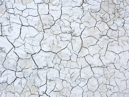 Mud cracks dryness texture backgroundの写真素材