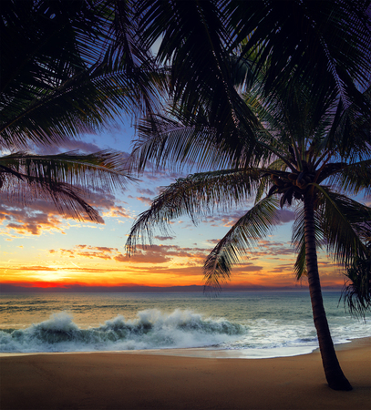 Sunset at the tropical Beach with palm trees and beautiful sky.の写真素材