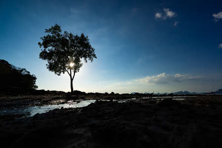 Sunset at Klong Muang beach in Krabi Thailandの写真素材