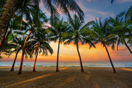 Beautiful sunset at the Tropical beach