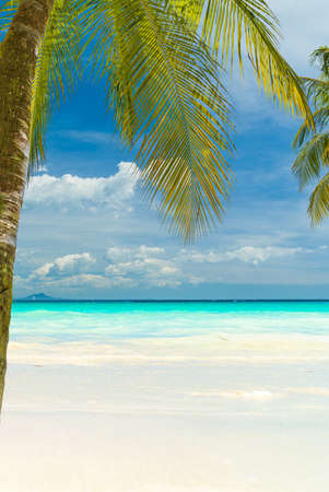 Amazing Tropical beach lanscapeの写真素材