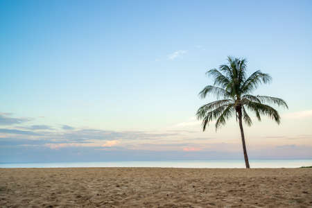 Beautiful sunset at the Tropical beachの写真素材