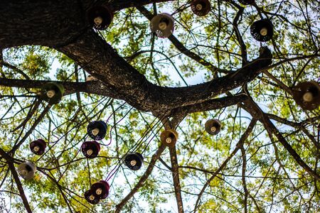 under treeの写真素材