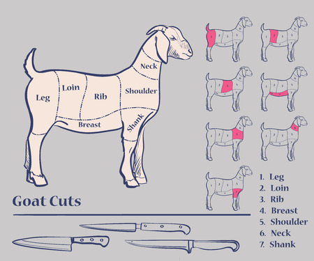 Goat meat cuts, Diagram, excellent vector illustration, EPS 10のイラスト素材