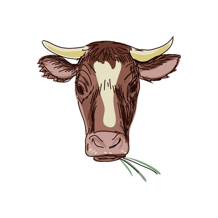 doodle cow, Cow skull sketch. Isolated in white background. Excellent vector illustration, EPS 10のイラスト素材
