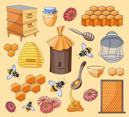 Honey set. Design with apiary sketch elements. Vector backgroundのイラスト素材