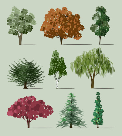 Hand drawn Trees sketch set, vintage illustration.のイラスト素材