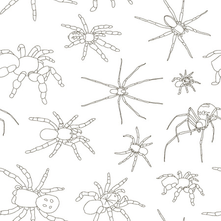 Spiders vector set pattern on white backgroundのイラスト素材