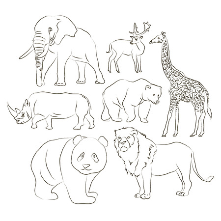 Set of different wild animals. Vector illustrationのイラスト素材