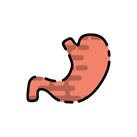 Stomach. Human organ icon. Flat design. Vector illustrationのイラスト素材