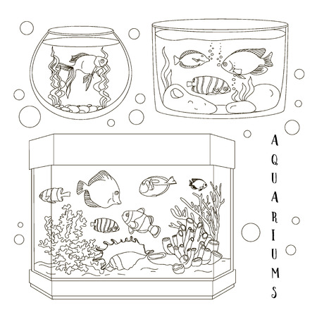 Glass Aquarium Setのイラスト素材