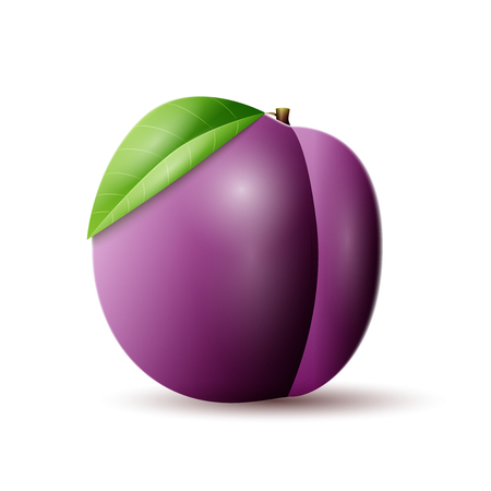 Plums vector icon.のイラスト素材