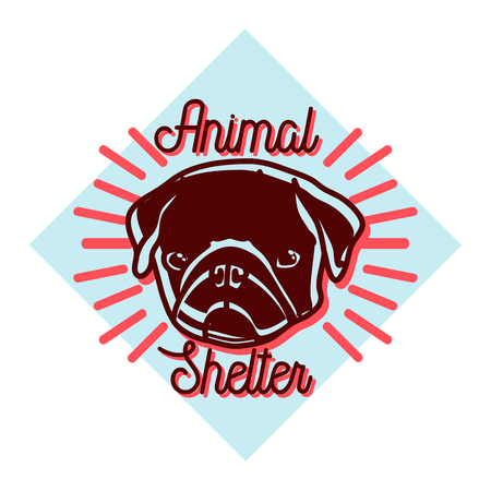 Color vintage animal shelter emblemのイラスト素材