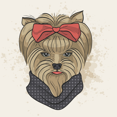 Vector color sketch of elegant dogのイラスト素材