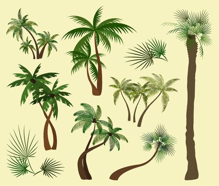 Palms trees collectionのイラスト素材