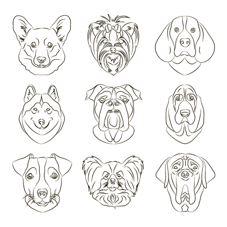 Vector illustration of different dogs breedのイラスト素材