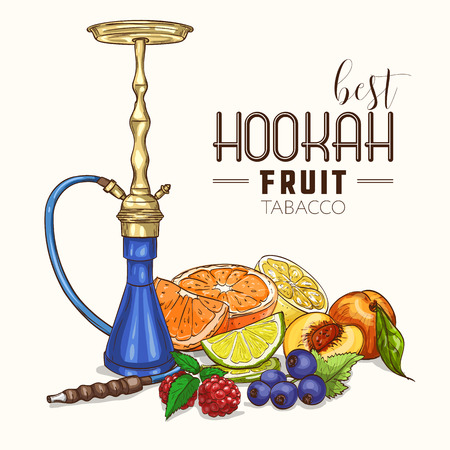 Vector illustration, hookah fruit tabacco, color sketch. Vector illustration EPS 10