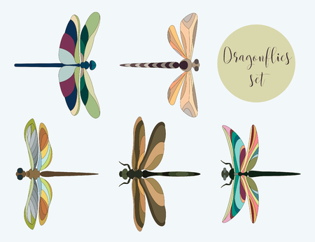 Set of silhouettes of dragonflies. Vector illustration, EPS 10のイラスト素材