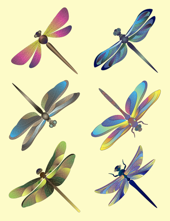 Set of silhouettes of dragonflies. Vector illustration, EPS 10のイラスト素材