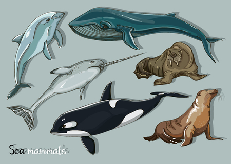 Sea mammals animal collection icons setのイラスト素材