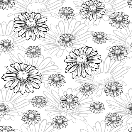 Chamomile  pattern of flowers and leavesのイラスト素材