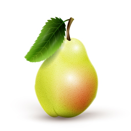 Green pear isolated on white background. Vector illustration, EPS 10のイラスト素材