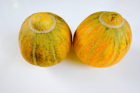 A pair of honey melons, like two women's breasts.の写真素材
