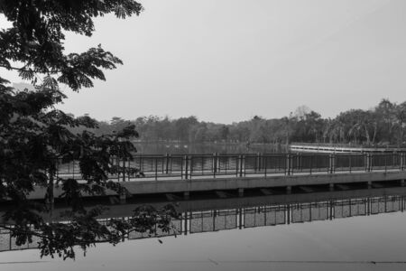 A bridge over the lake.の写真素材