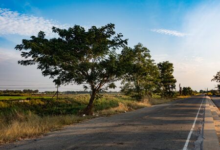 The street which people running in the evening.の写真素材
