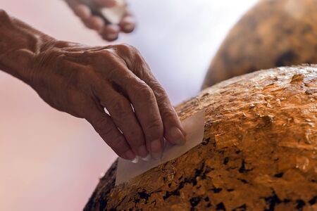 old man pastes  golden leaf on buddha statueの写真素材