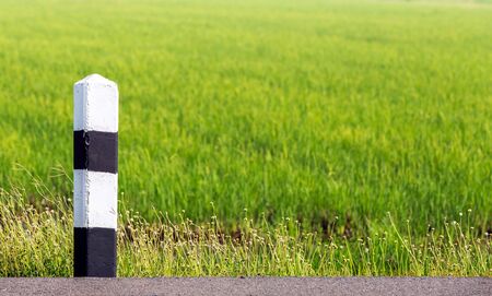 Traffic post on the road and rice field backgroundの写真素材