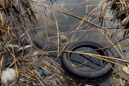 car tires and plastic are lying in the lake, violating the ecology. Pollution of natureの写真素材