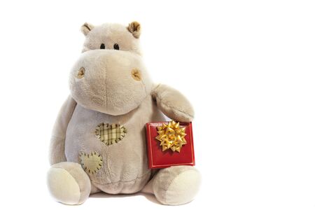 Hippo toy with a giftの写真素材