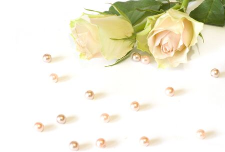 Two rosesの写真素材