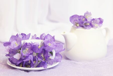 Teacup decorated with bell-flowersの写真素材