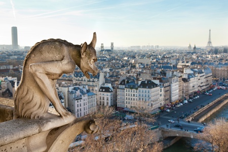 Notre Dame of Paris: Chimera overlooking the skyline of Paris at a sunsetの写真素材