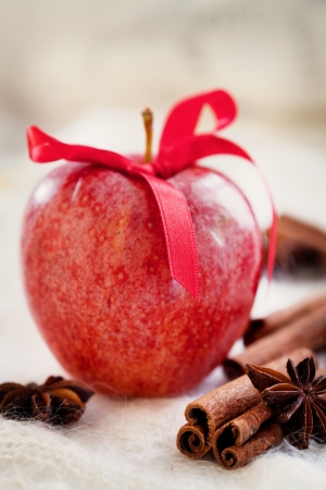 Red apple with cinnamon sticks and anise starsの写真素材
