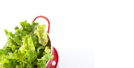 Fresh leaves of green salad over the white background