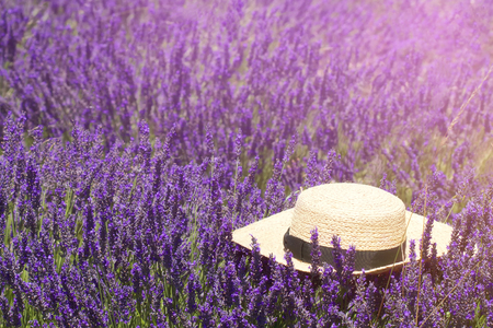 Straw hat over the bloomimg lavanderの写真素材