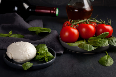 Traditional ingridients of italian cuisine: mozzarella cheese, tomatoes, basil, olive oil, red wineの写真素材
