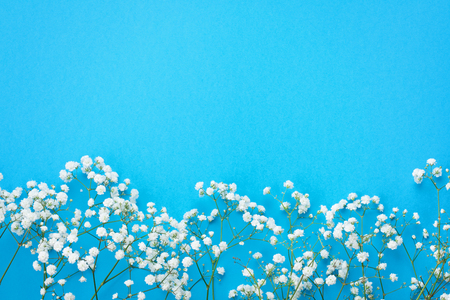 White flowers on blue background. Flat lay in bright colorsの写真素材