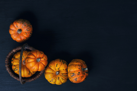 Top view over the orange pumpkins on the wooden backgound. Halloween, thanksgiving and autumn harvest concept with copy spaceの写真素材